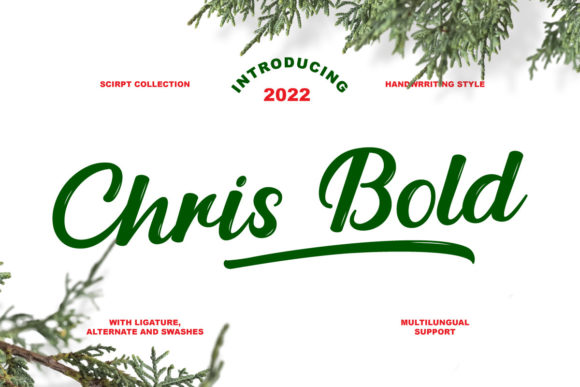 Chris Bold: A Script Handwritten Font for Dynamic Brand Campaigns