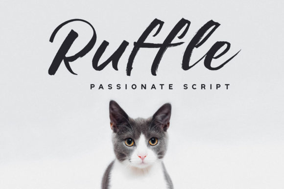 Ruffle: The Handwritten Font That Elevates Your Brand