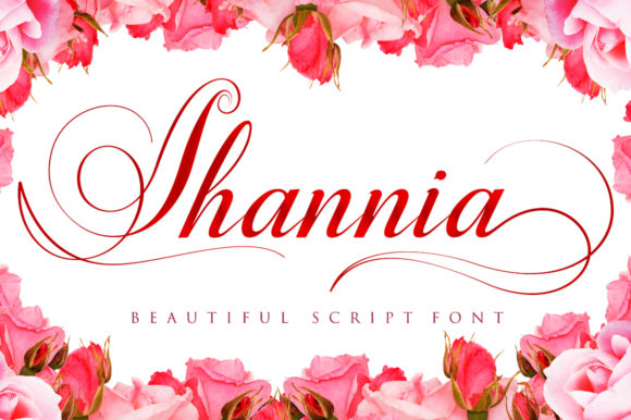 Shannia: The Font That Elevates Every Campaign