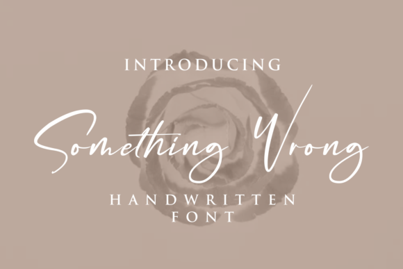 Something Wrong: The Perfect Font for Elegant Branding and Creative Design