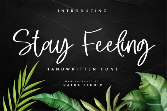 Stay Feeling: A Modern Script Font for Creative Web Design