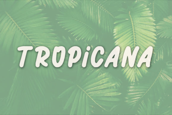 Tropicana: A Script Handwritten Font for Digital Branding and Web Design